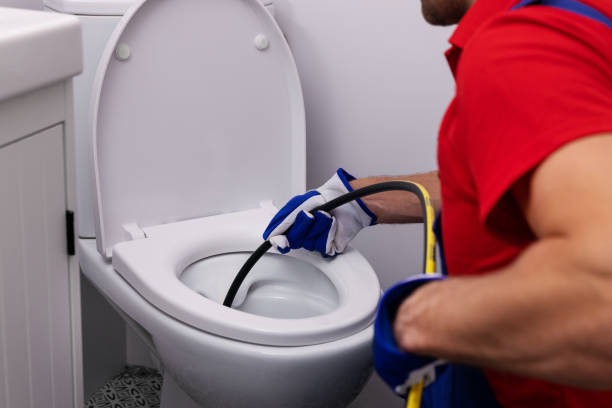 Best Shower Repair Services  in Le Roy, IL