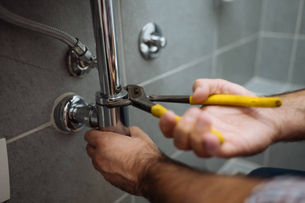 Best 24-Hour Plumber Near Me  in Le Roy, IL