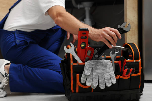 Best Plumbing Repair Near Me  in Le Roy, IL