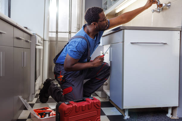 Best Plumbing Inspection Services  in Le Roy, IL